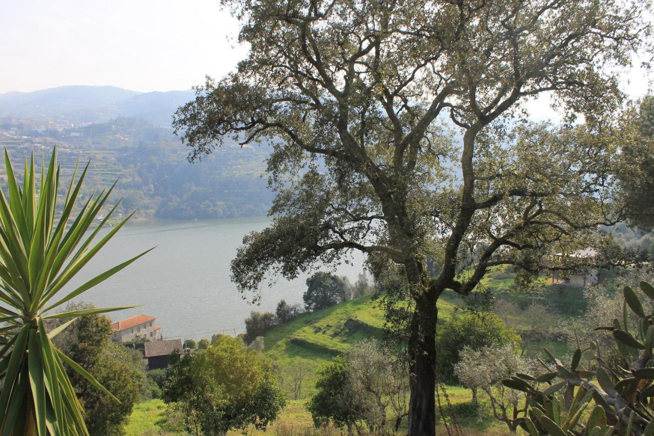 Quinta Das Quintas & Spa Baião Zewnętrze zdjęcie