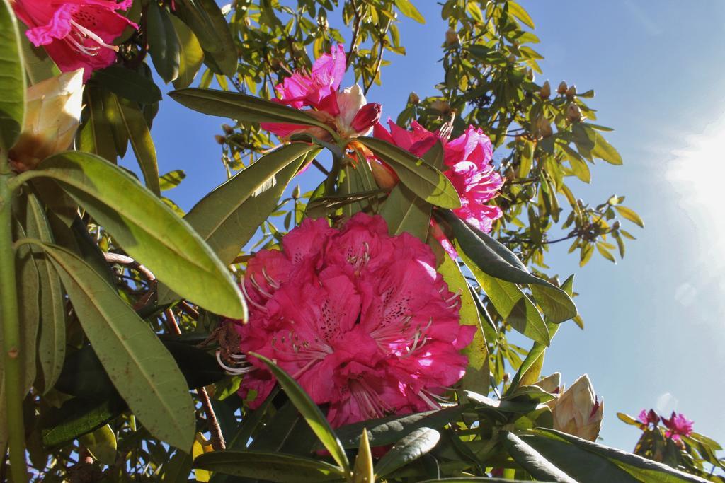 Quinta Das Quintas & Spa Baião Zewnętrze zdjęcie