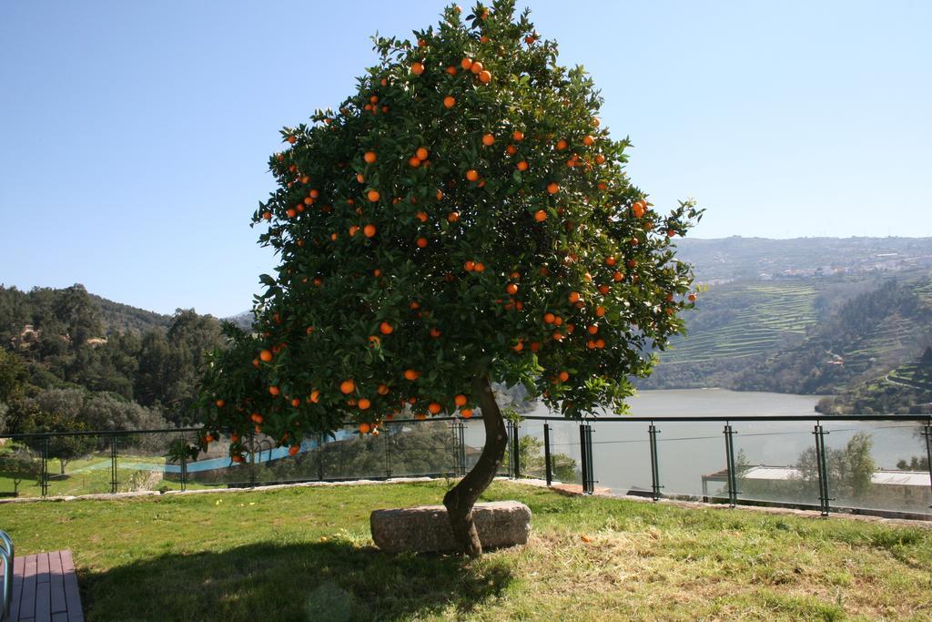 Quinta Das Quintas & Spa Baião Zewnętrze zdjęcie