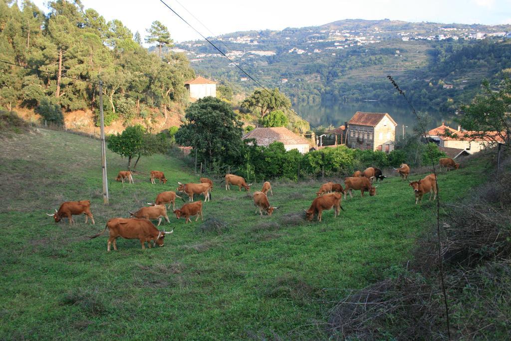 Quinta Das Quintas & Spa Baião Zewnętrze zdjęcie